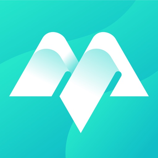 Book Summaries: MindLeap